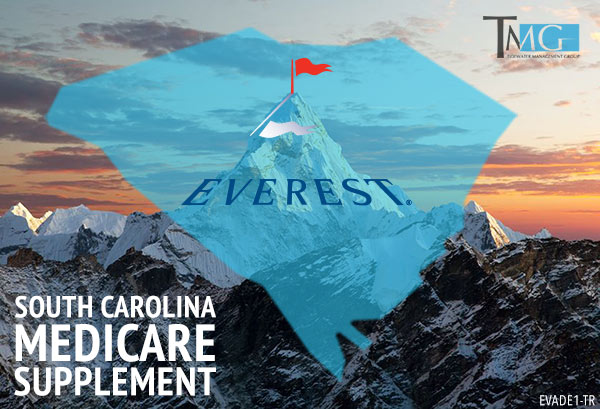 Everest Medicare Supplement Plan Tidewater Management Group